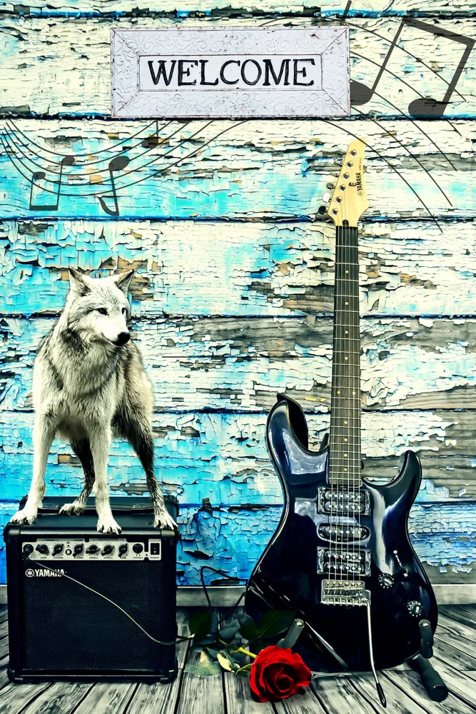 Wolf Rocks