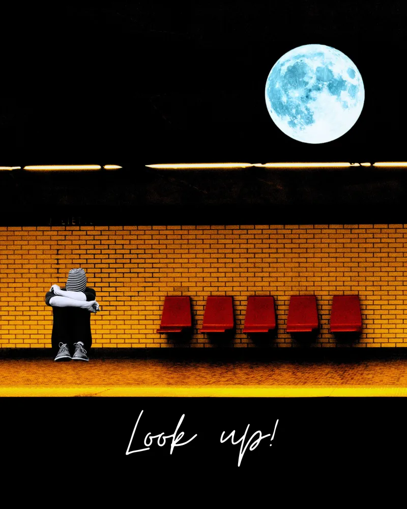 Look Up!