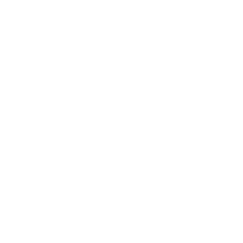 Vallesy Logo