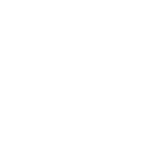 vallesy Logo